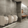Pisuar z zasilaniem od tyłu, odpływ z tyłu, bezkołnierzowy, SmartClean Biały EluPura Original S HANSGROHE 61174450