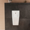 Pisuar 600/300 z zasilaniem od tyłu, odpływ dolny/tył, bezkołnierzowy, HygieneEffect Biały EluPura Original Q HANSGROHE 62010450