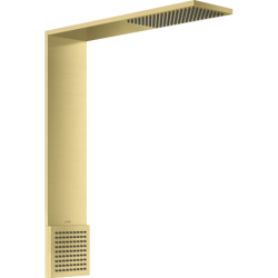 Moduł głowicy prysznicowej...
