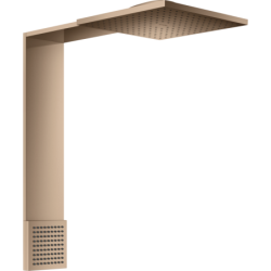 Moduł głowicy prysznicowej...