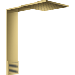 Moduł głowicy prysznicowej...