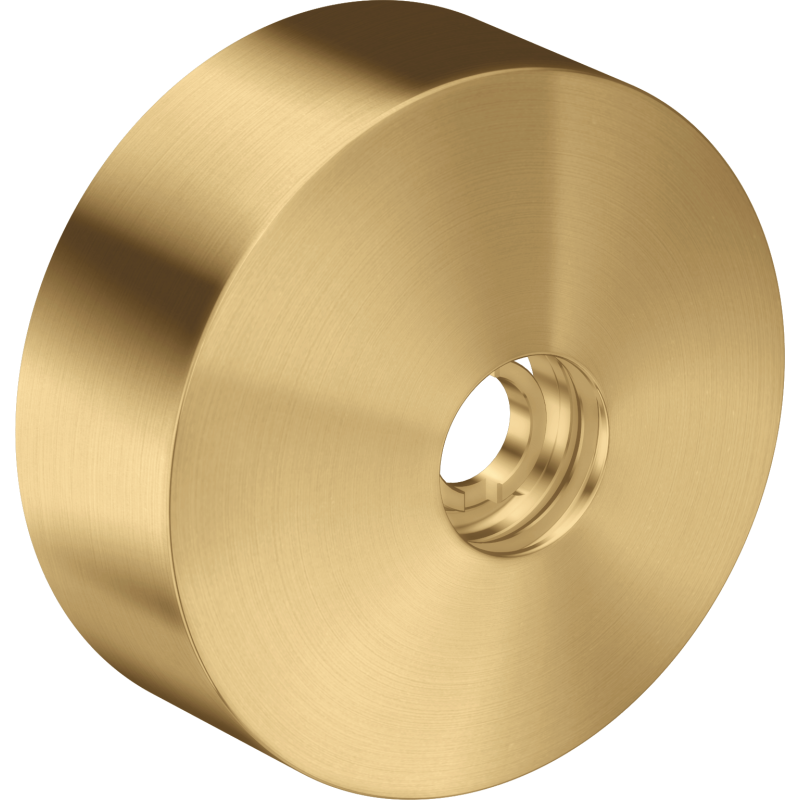 Element przedłużający Złoty Optyczny Szczotkowany One AXOR 13610250