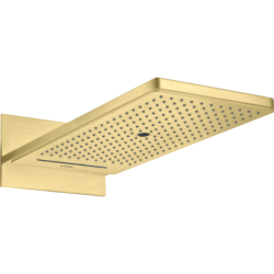 Głowica prysznicowa 250/580...