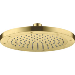 Głowica prysznicowa 245...