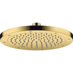 Głowica prysznicowa 245...