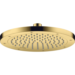 Głowica prysznicowa 245...