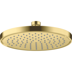 Głowica prysznicowa 220...