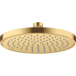 Głowica prysznicowa 220...