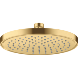 Głowica prysznicowa 220...