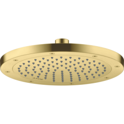 Głowica prysznicowa 245...