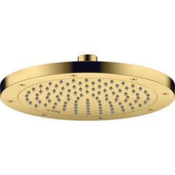 Głowica prysznicowa 245...