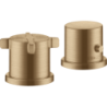 2-otworowa bateria termostatyczna na brzeg wanny Brąz Szczotkowany Citterio E AXOR 36412140