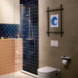 Przycisk spłukujący Biały Matowy iFrame Original S HANSGROHE 66002700