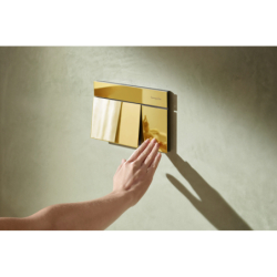 Przycisk spłukujący Złoty Optyczny Polerowany iFrame Element E HANSGROHE 66003990