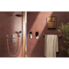 Główka prysznicowa 125 3jet EcoSmart Chrom Raindance Alive Select S HANSGROHE 24511000