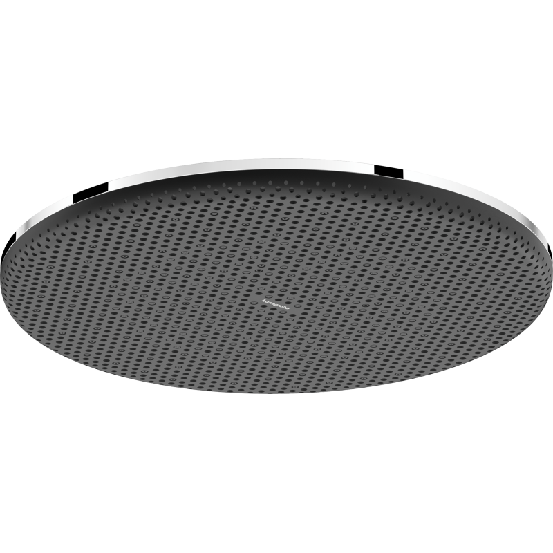 Głowica prysznicowa 300 1jet Chrom Raindance Alive S HANSGROHE 24520000