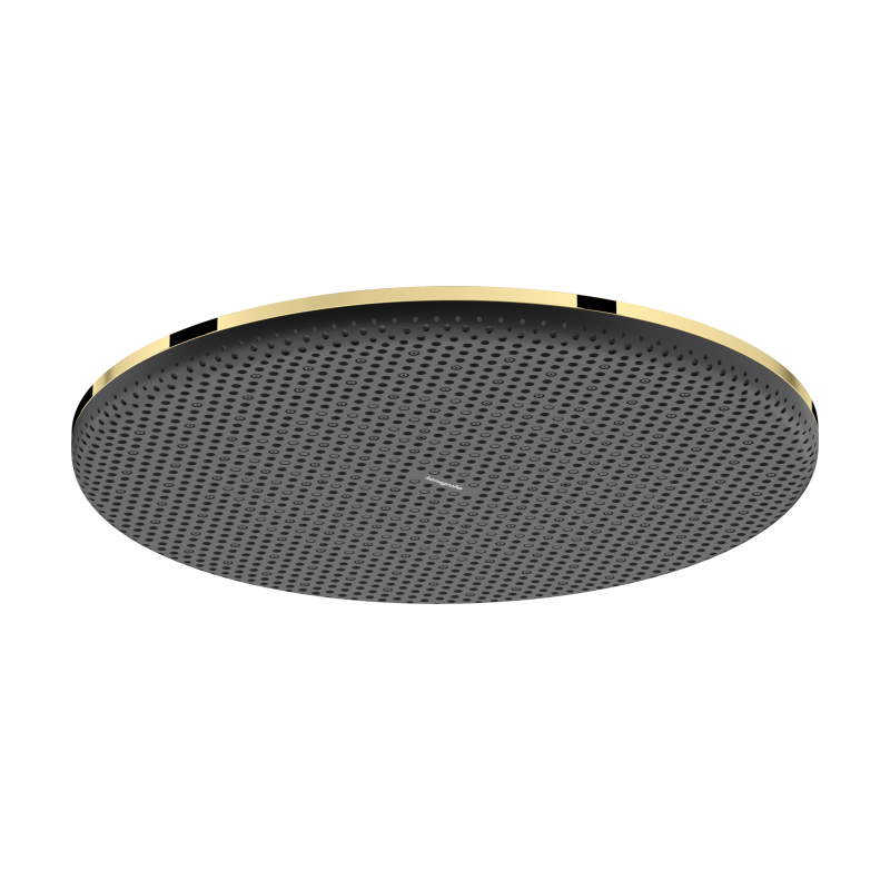 Głowica prysznicowa 300 1jet Złoty Optyczny Polerowany Raindance Alive S HANSGROHE 24520990