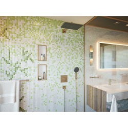 Głowica prysznicowa 210/340 1jet Brąz Szczotkowany Raindance Alive Q HANSGROHE 24530140