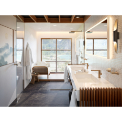 Głowica prysznicowa 210/340 1jet Brąz Szczotkowany Raindance Alive Q HANSGROHE 24530140