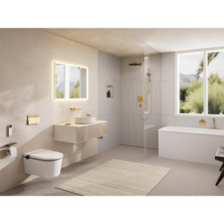 Głowica prysznicowa 210/340 1jet EcoSmart Brąz Szczotkowany Raindance Alive Q HANSGROHE 24531140