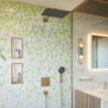 Głowica prysznicowa 210/340 1jet EcoSmart Brąz Szczotkowany Raindance Alive Q HANSGROHE 24531140