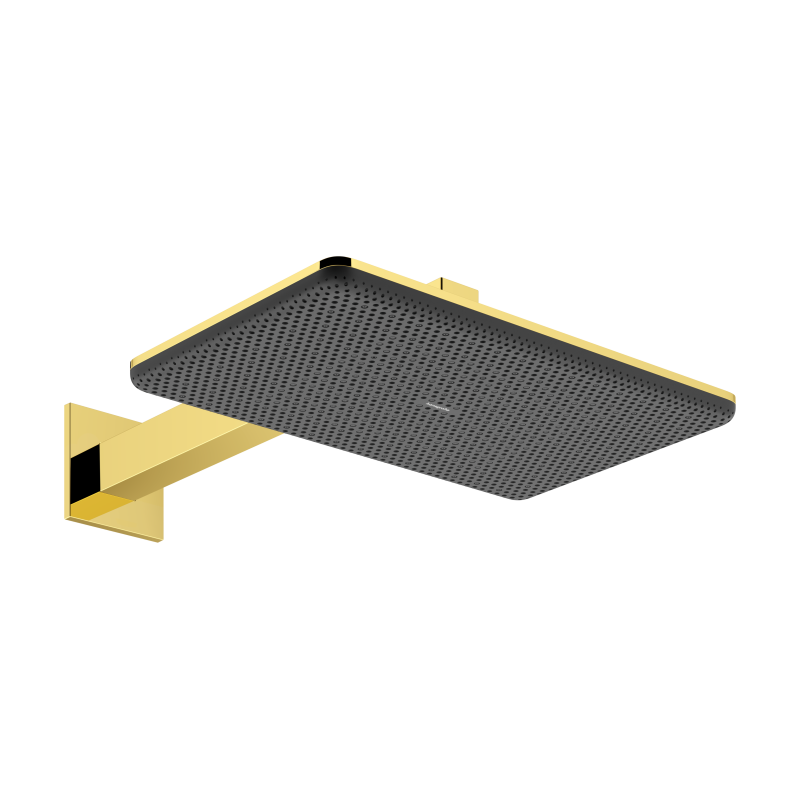 Głowica prysznicowa 210/340 2jet z ramieniem prysznicowym Złoty Optyczny Polerowany Raindance Alive Q HANSGROHE 24550990