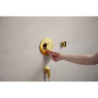 Przyłącze węża z zaworem zwrotnym, okrągłe Złoty Optyczny Polerowany FixFit Fine S HANSGROHE 28882990