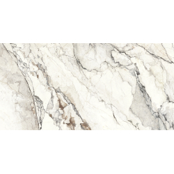 VENATO WHITE CARVING 60X120...