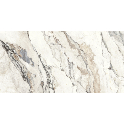 VENATO WHITE CARVING 60X120 REKT. GAT.1 (P.84763)