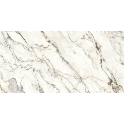 VENATO WHITE CARVING 60X120 REKT. GAT.1 (P.84763)