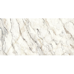 VENATO WHITE CARVING 60X120 REKT. GAT.1 (P.84763)