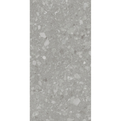 TERRA GREY MAT 60X120 REKT....