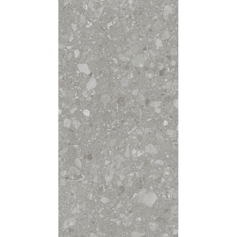 TERRA GREY MAT 60X120 REKT. GAT.1 (P.90521)