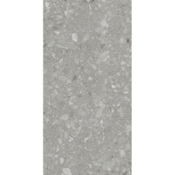 TERRA GREY MAT 60X120 REKT. GAT.1 (P.90521)