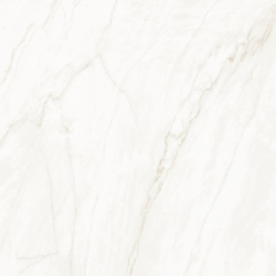 CLARKE SHINE BONE LAPPATO 120X120 REKT. GAT.1 (P.93417)