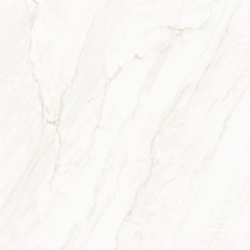 CLARKE SHINE BONE LAPPATO 120X120 REKT. GAT.1 (P.93417)