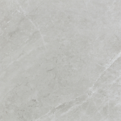 BUTAN GRIS POLER 120X120...