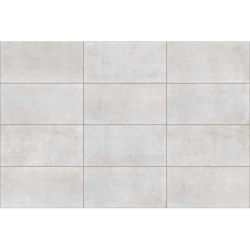 LENS CENIZA MAT 30X60 GAT.1 (P.92501)