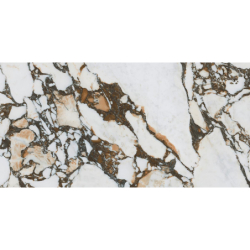 LES BIJOUX ODILON-R POLER...