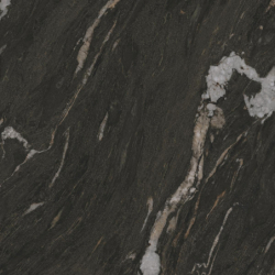 LES BIJOUX ASTER-R MAT...