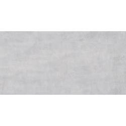 ATELERI GRIS MAT 25X50...