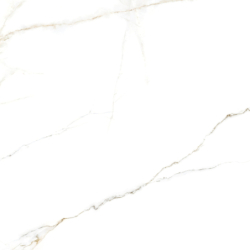 LANCE WHITE POLER 120X120...