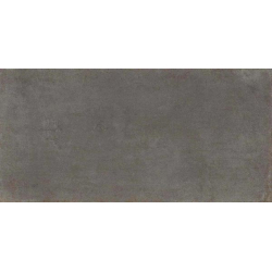 LENS PLOMO MAT 30X60 GAT.1...