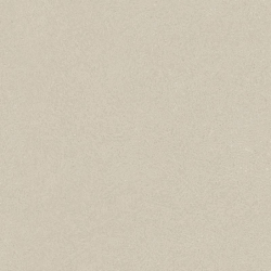 MOUSSE-R GREIGE MAT 80X80...