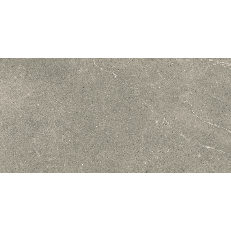 ECCHIO TAUPE MAT 60X120 REKT. GAT.1 (P.92883)