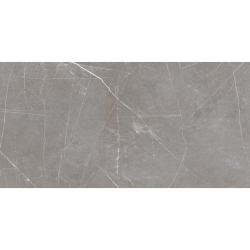 STATUS GRIS MAT 60X120...