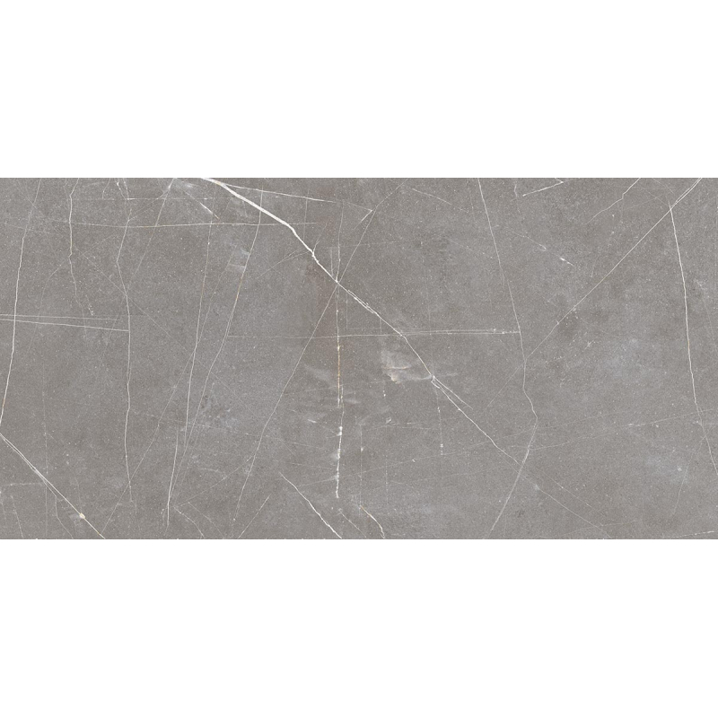 STATUS GRIS MAT 60X120 REKT. GAT.1 (P.93755)