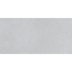 ELBURG-R GRIS MAT 60X120...