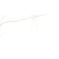 LANCE WHITE POLER 60X120...