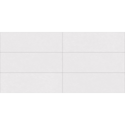 ZALETTI-R BLANCO MAT 32X99 GAT.1 (P.92249)